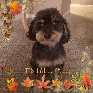 Meet your Posher, Rhonda